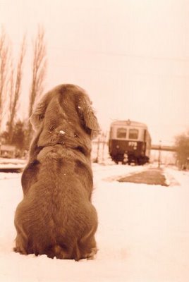 Hace un a&ntilde;o que te fuiste.